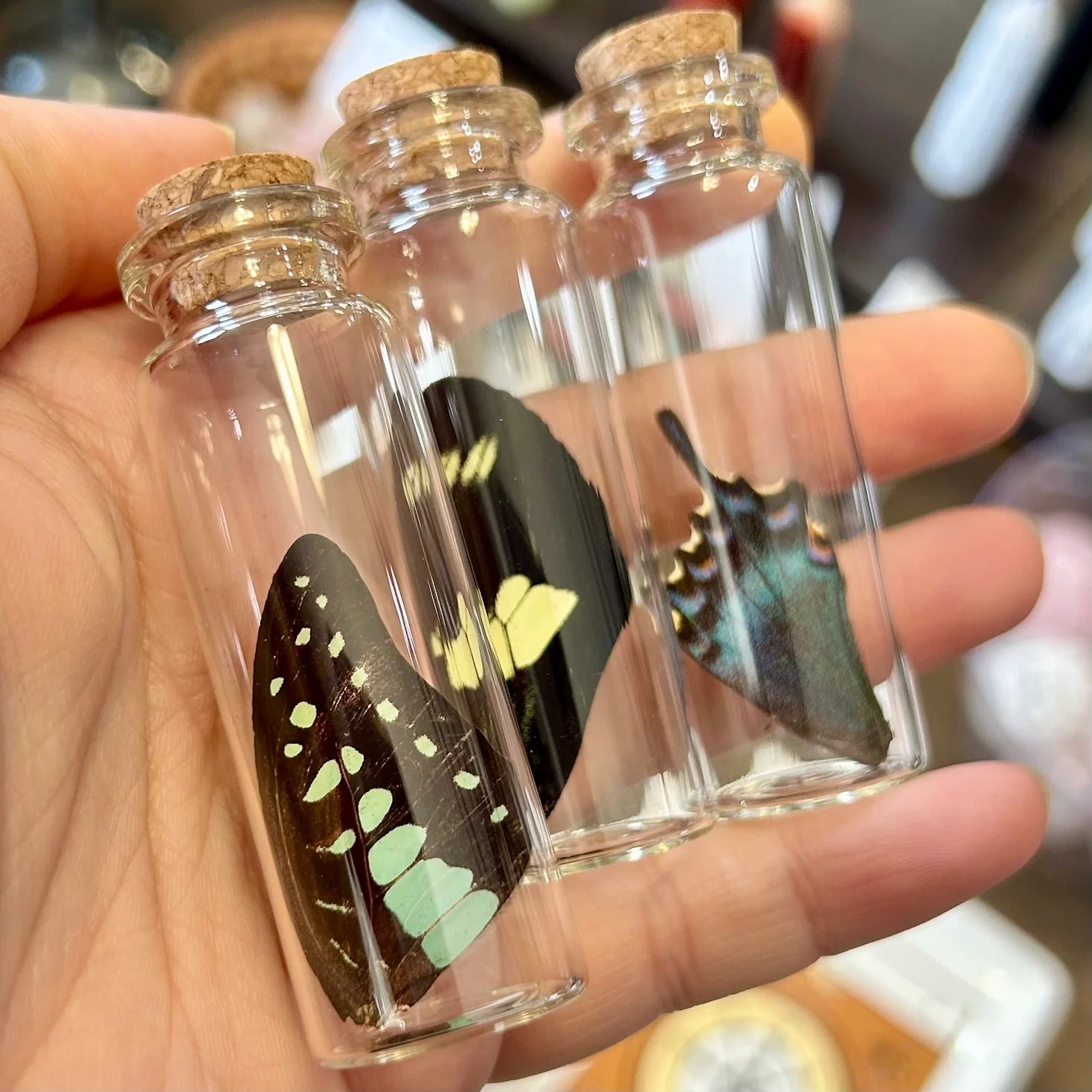 Collector Vials